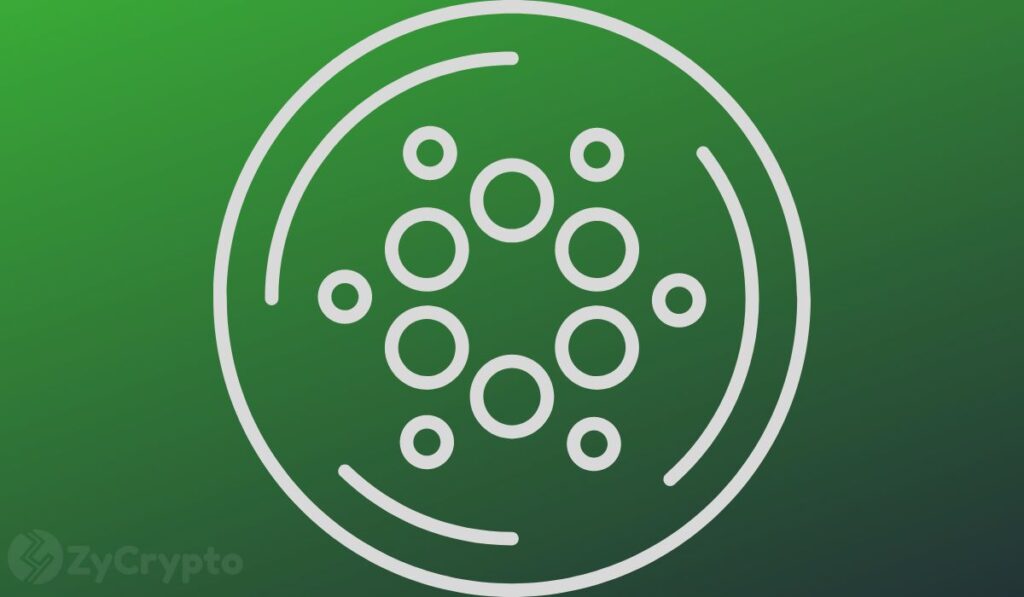Hoskinson Confirms Cardano's Strong Fundamentals Ahead of Historic Network Upgrade