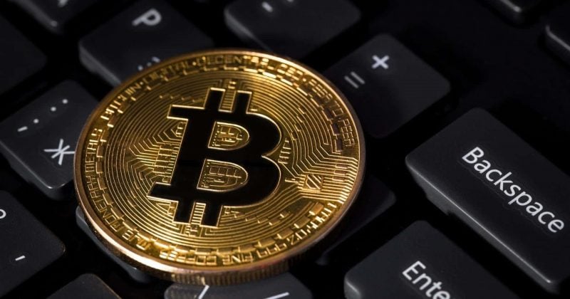 Stacks reaches 1.6M total wallets as Bitcoin DeFi ambitions grow Stacks reaches 1.6M total wallets as Bitcoin DeFi ambitions grow